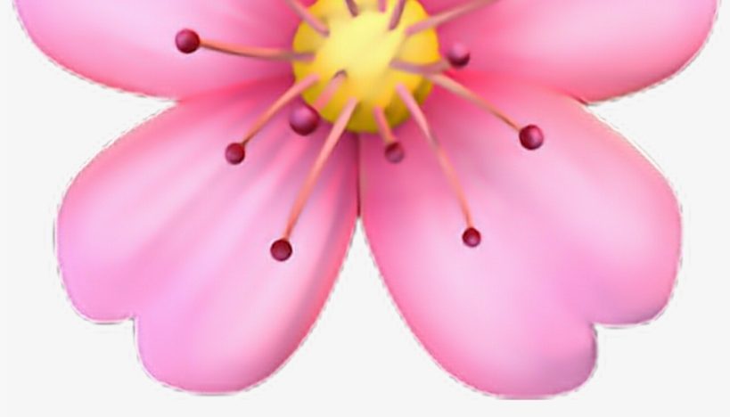 24-242774_png-emoji-flower-iphone-sticker-by-conny-garces.png
