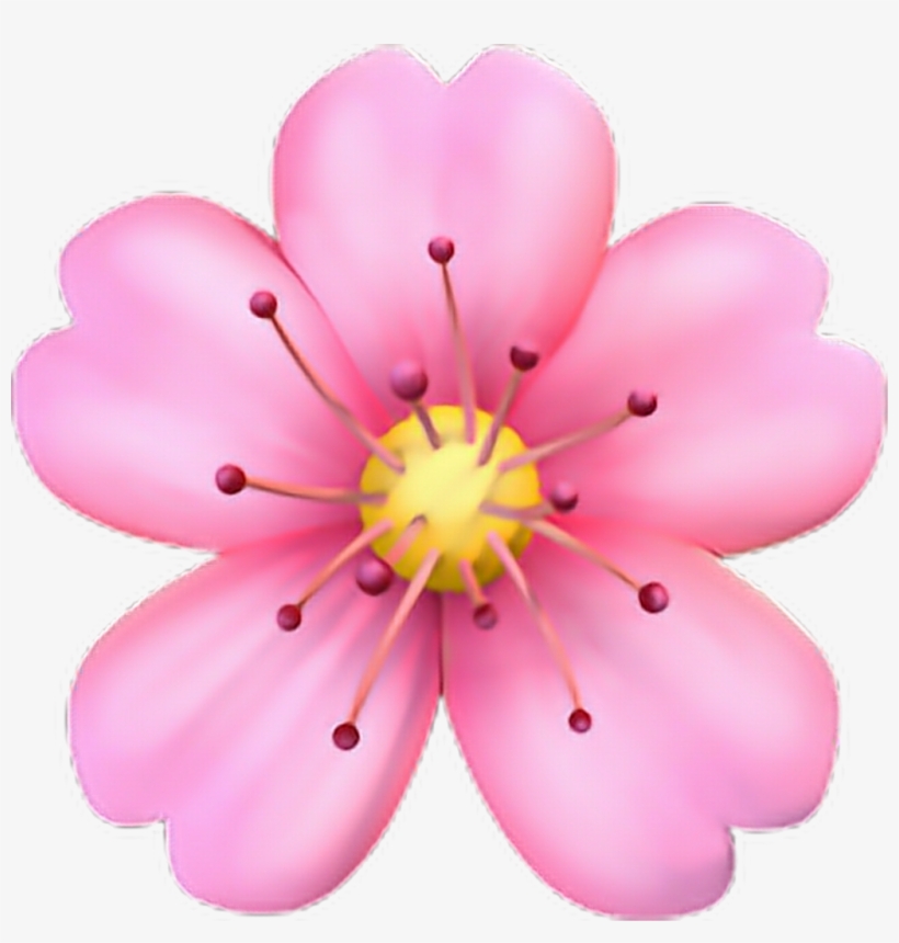 24-242774_png-emoji-flower-iphone-sticker-by-conny-garces.png